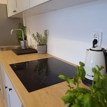 Mieszkanie W Centrum Gdyni Sw 135l *