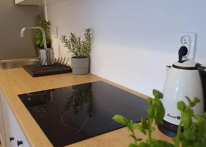 Mieszkanie W Centrum Gdyni Sw 135l *